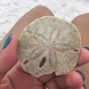 Meet your Posher, Luz